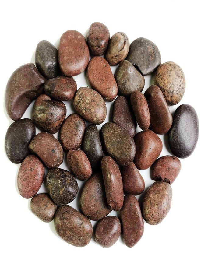 HappyFiller Natural Decorative Pebbles Polished Rocks Stones for Aquarium,Fish Turtle Tank,Outdoor Indoor Plants Top Dressing,Succulents Soil Cover,Garden Landscaping,2 LB,Red Mix,0.8-1.6" - Image 1